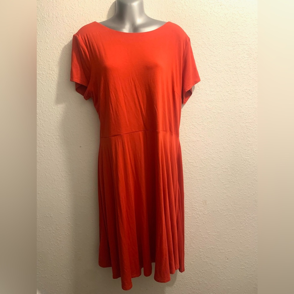 Loft Dress NWT
